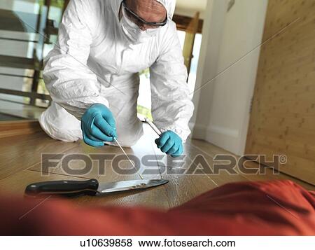 Stock Photo - Collecting forensic evidence. Fotosearch