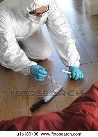 Stock Photo - Collecting forensic evidence. Fotosearch