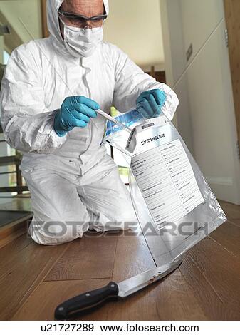 Stock Photo - Collecting forensic evidence. Fotosearch