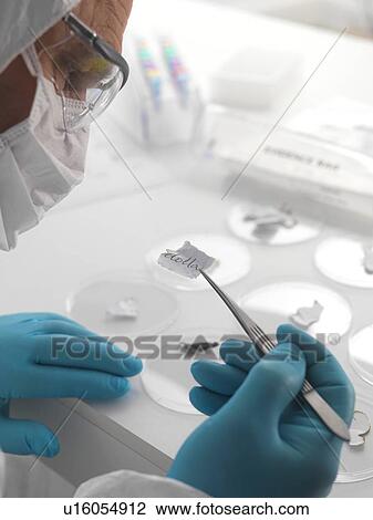 Forensic science View Large Photo Image Stock Image - Forensic science. Fotosearch