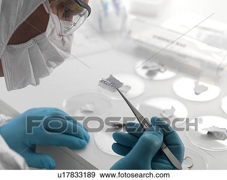 Stock Photo - Forensic science. Fotosearch