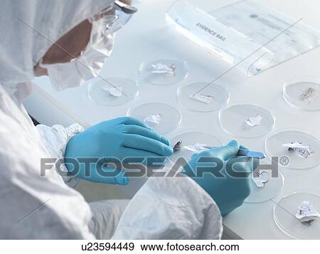 Stock Photo - Forensic science. Fotosearch