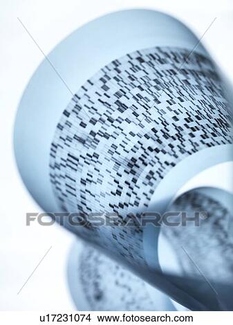Picture - DNA autoradiogram. Fotosearch