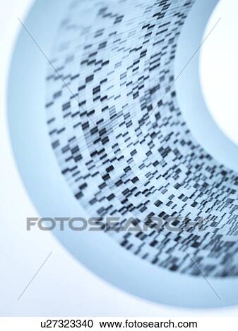 Stock Image - DNA autoradiogram. Fotosearch