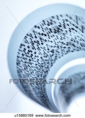 Stock Photo - DNA autoradiogram. Fotosearch