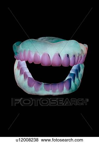 Stock Photo - False teeth. Fotosearch