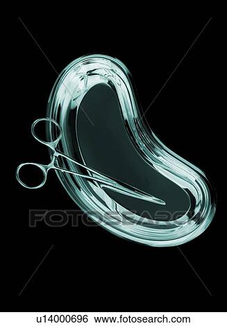 Forceps in a kidney dish View Large Photo Image Stock Photograph - Forceps in a kidney dish. Fotosearch