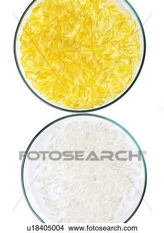 GM food, conceptual image View Large Photo Image Picture - GM food, conceptual image. Fotosearch