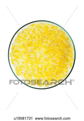 Stock Image - GM food, conceptual image. Fotosearch