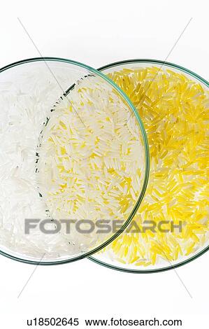Stock Photography - GM food, conceptual image. Fotosearch