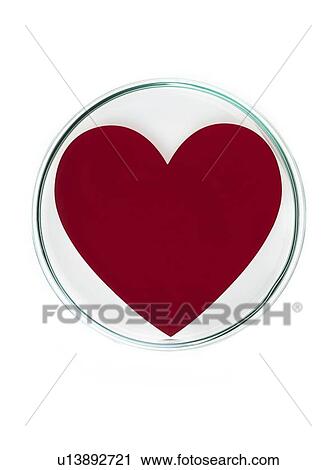 Heart research, conceptual image View Large Photo Image Stock Image - Heart research, conceptual image. Fotosearch