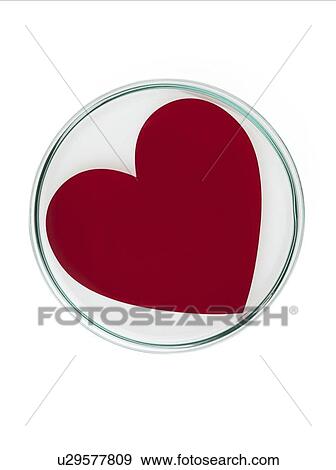 Stock Photo - Heart research, conceptual image. Fotosearch