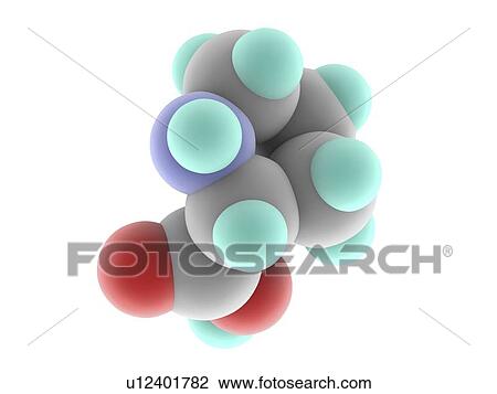 Proline molecule View Large Photo Image Stock Image - Proline molecule. Fotosearch