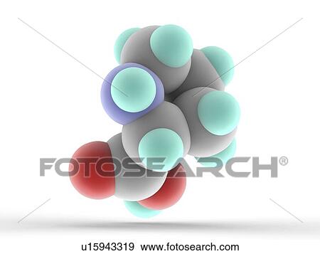 Stock Photo - Proline molecule. Fotosearch