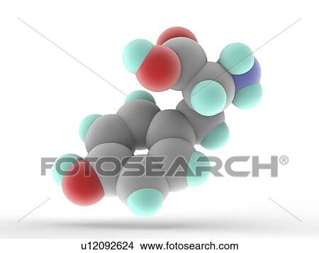 Picture - Tyrosine molecule. Fotosearch