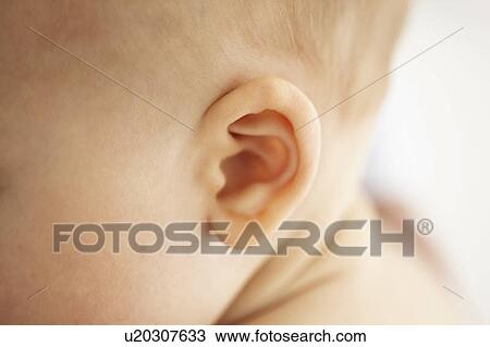 Close up of baby girls ear View Large Photo Image Stock Image - Close up of baby girls ear. Fotosearch