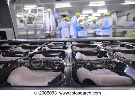 Fish filets in packaging in factory View Large Photo Image Stock Image - Fish filets in packaging in factory. Fotosearch