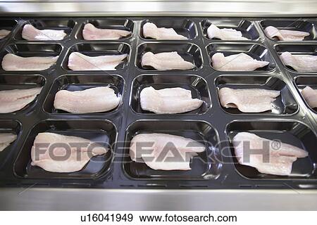 Fish filets in packaging in factory View Large Photo Image Stock Photo - Fish filets in packaging in factory. Fotosearch