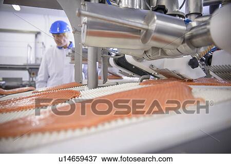 Stock Photo - Fish filets on conveyor belt in factory. Fotosearch