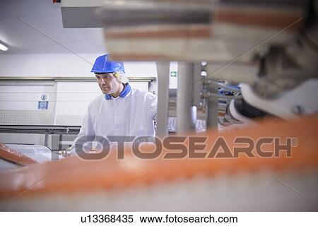 Stock Photography - Fish filets on conveyor belt in factory. Fotosearch