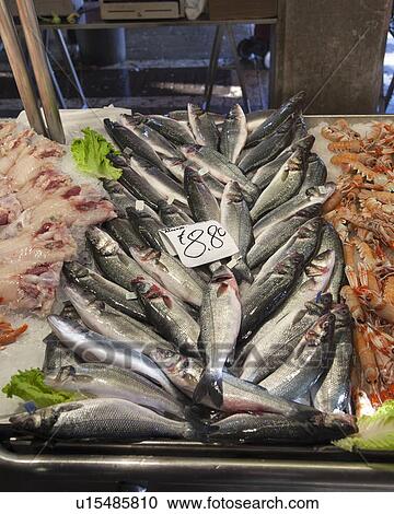 Fish for sale in market View Large Photo Image Stock Image - Fish for sale in market. Fotosearch