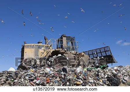Machinery working on waste in landfill View Large Photo Image Stock Photo - Machinery working on waste in landfill. Fotosearch