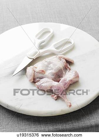 Raw quail and kitchen shears on plate View Large Photo Image Stock Photograph - Raw quail and kitchen shears on plate. Fotosearch