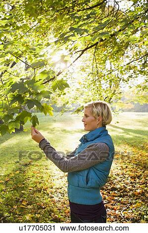 Stock Image - Woman admiring leaves in park. Fotosearch