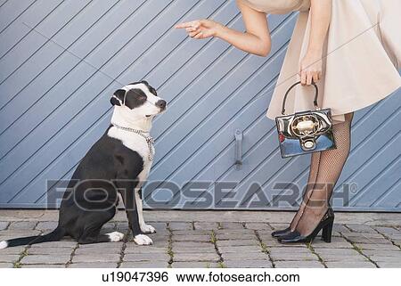 Stock Photograph - Woman scolding dog on city street. Fotosearch