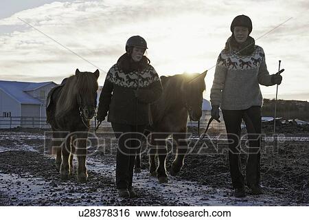 Women walking with horses outdoors View Large Photo Image Stock Photograph - Women walking with horses outdoors. Fotosearch