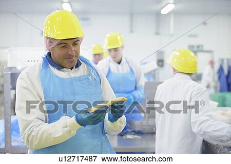 Worker examining fish in factory View Large Photo Image Stock Photo - Worker examining fish in factory. Fotosearch