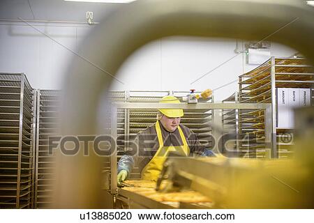 Stock Image - Worker examining smoked fish in factory. Fotosearch