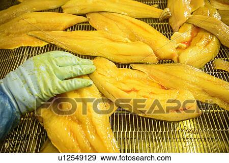 Stock Photo - Worker examining smoked fish in factory. Fotosearch