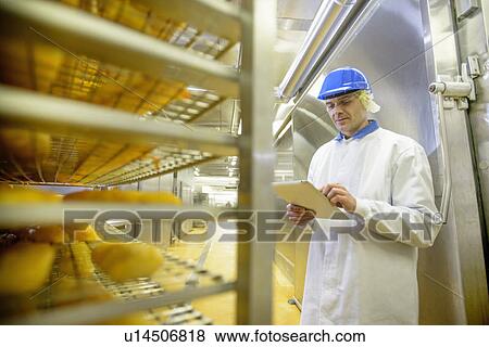 Worker examining smoked fish in factory View Large Photo Image Stock Photo - Worker examining smoked fish in factory. Fotosearch