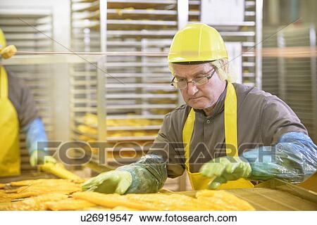 Worker examining smoked fish in factory View Large Photo Image Stock Photo - Worker examining smoked fish in factory. Fotosearch