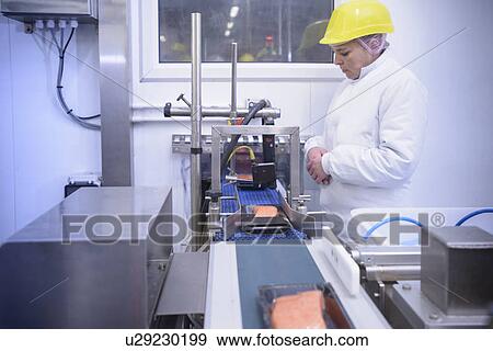 Stock Photo - Worker packing fish filets in factory. Fotosearch