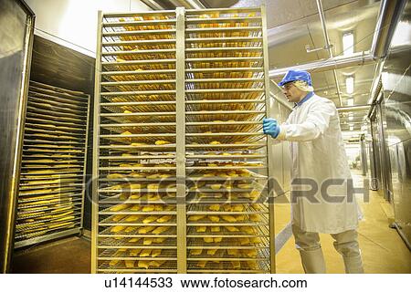 Worker pushing cart of fish in factory View Large Photo Image Stock Image - Worker pushing cart of fish in factory. Fotosearch