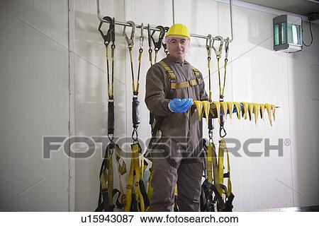 Worker smoking haddock filets in factory View Large Photo Image Stock Photo - Worker smoking haddock filets in factory. Fotosearch