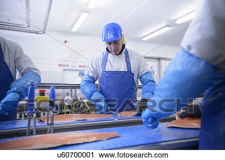 Stock Image - Workers cleaning fish in factory. Fotosearch