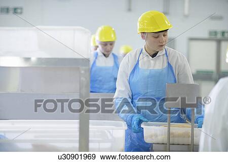 Workers on line at factory View Large Photo Image Stock Photo - Workers on line at factory. Fotosearch