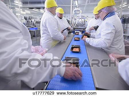 Workers packing fish filets in factory View Large Photo Image Stock Photo - Workers packing fish filets in factory. Fotosearch