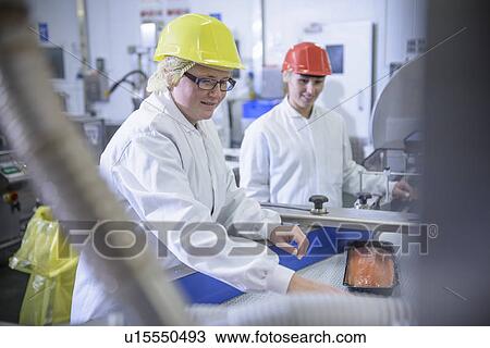 Workers packing fish in factory View Large Photo Image Stock Image - Workers packing fish in factory. Fotosearch