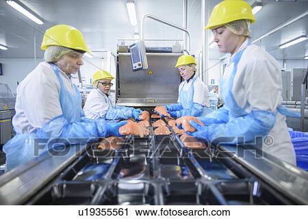 Stock Image - Workers packing fish in factory. Fotosearch