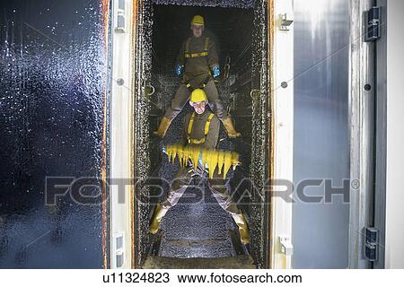 Stock Image - Workers smoking fish filets in factory. Fotosearch