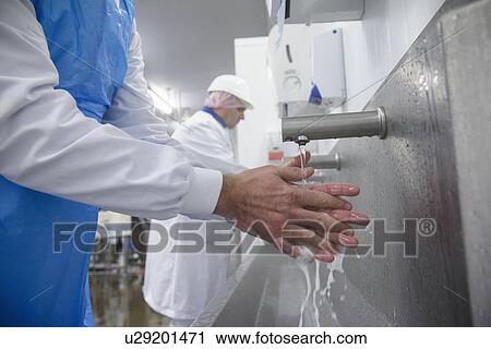 Workers washing hands in factory View Large Photo Image Stock Image - Workers washing hands in factory. Fotosearch