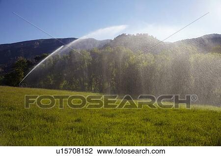 Stock Image - Agricultural sprinkler watering field. Fotosearch