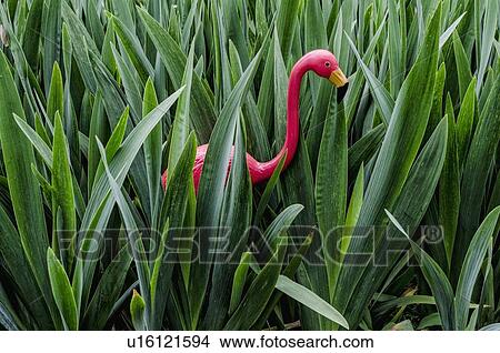 Artificial flamingo in leaves View Large Photo Image Picture - Artificial flamingo in leaves. Fotosearch