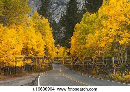 Picture - Autumn landscape. Fotosearch