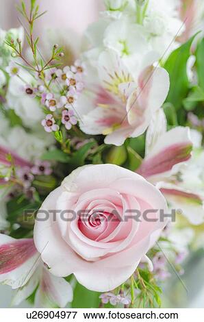 Bunch of flowers with pink rose View Large Photo Image Stock Photo - Bunch of flowers with pink rose. Fotosearch