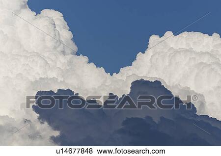 Cumulus cloud formation View Large Photo Image Stock Photo - Cumulus cloud formation. Fotosearch
